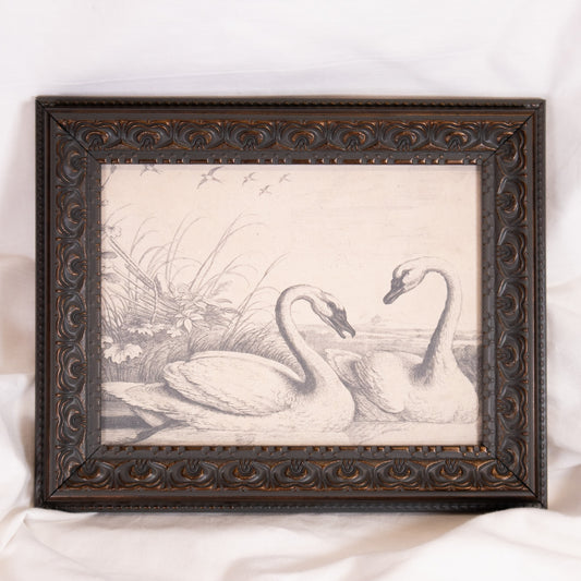 Swan Sketch Framed Wall Art