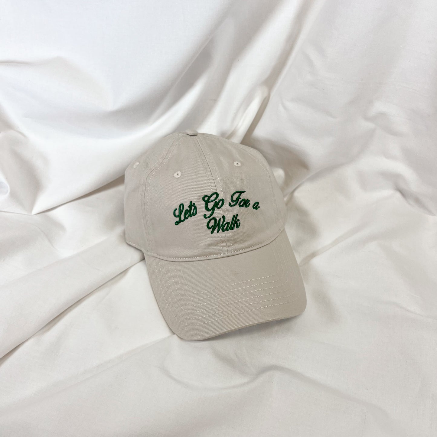 Lat's Go For A Walk Baseball Cap