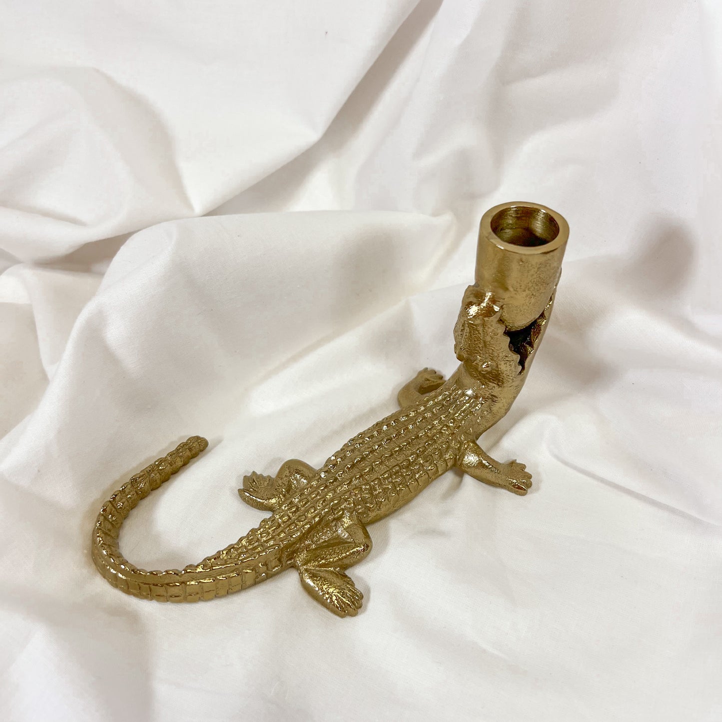 Gator Brass Candle Holder