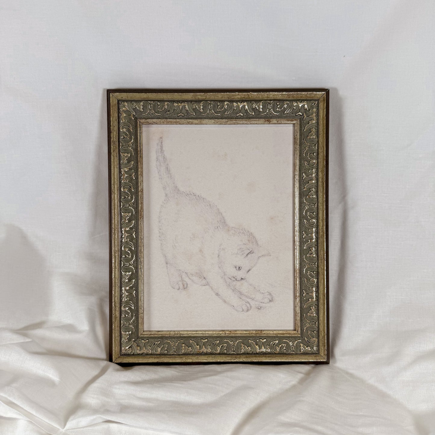 Playful Cat Framed Wall Art
