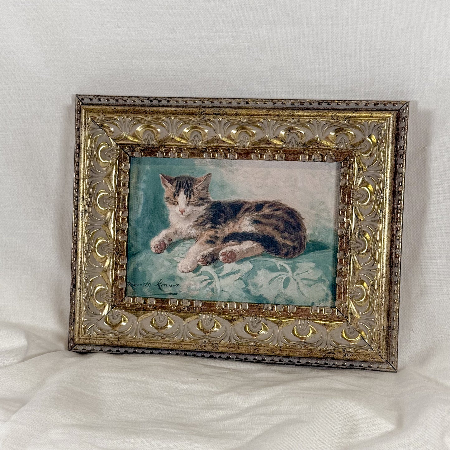 Sleeping Cat Framed Wall Art