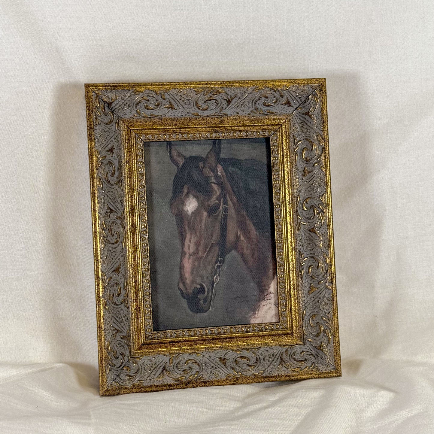 Horse Framed Wall Art