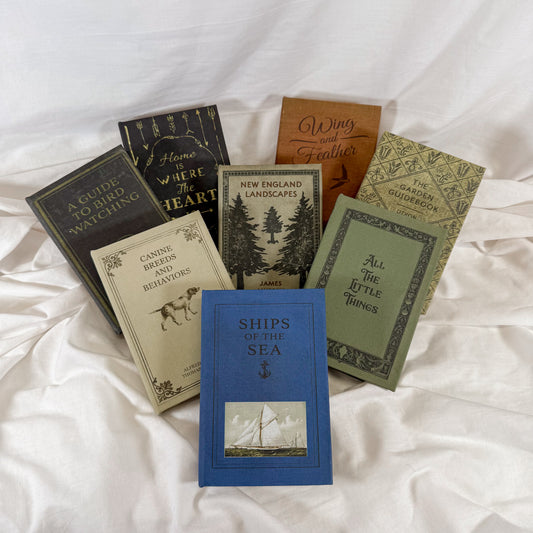 Book Storage Box