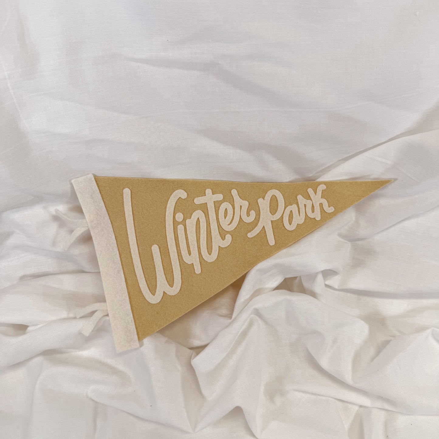Winter Park Felt Wall Pennant