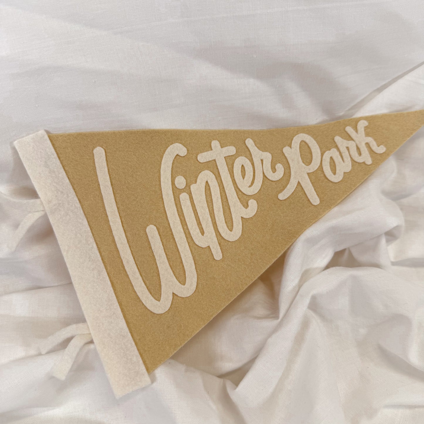 Winter Park Felt Wall Pennant