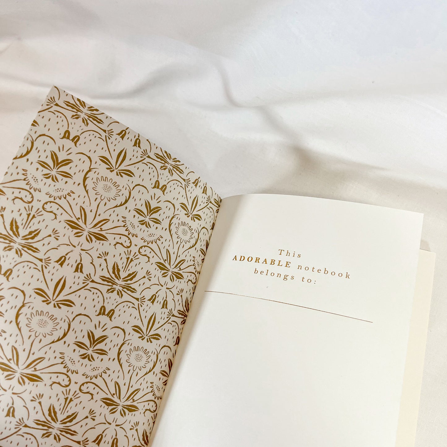 Dog Park Softcover Lined Notebook