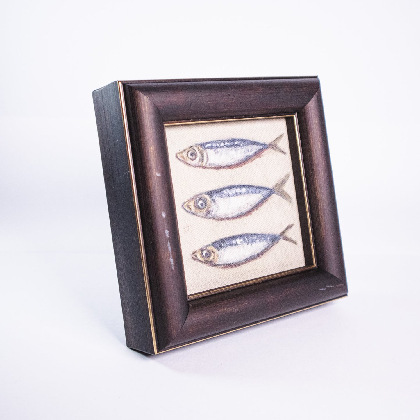 Three Fish Framed Wall Art