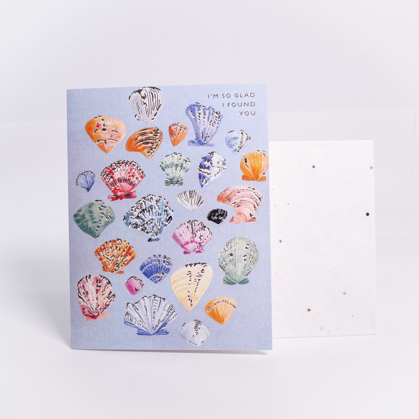 So Glad I Found You Seashells Greeting Card