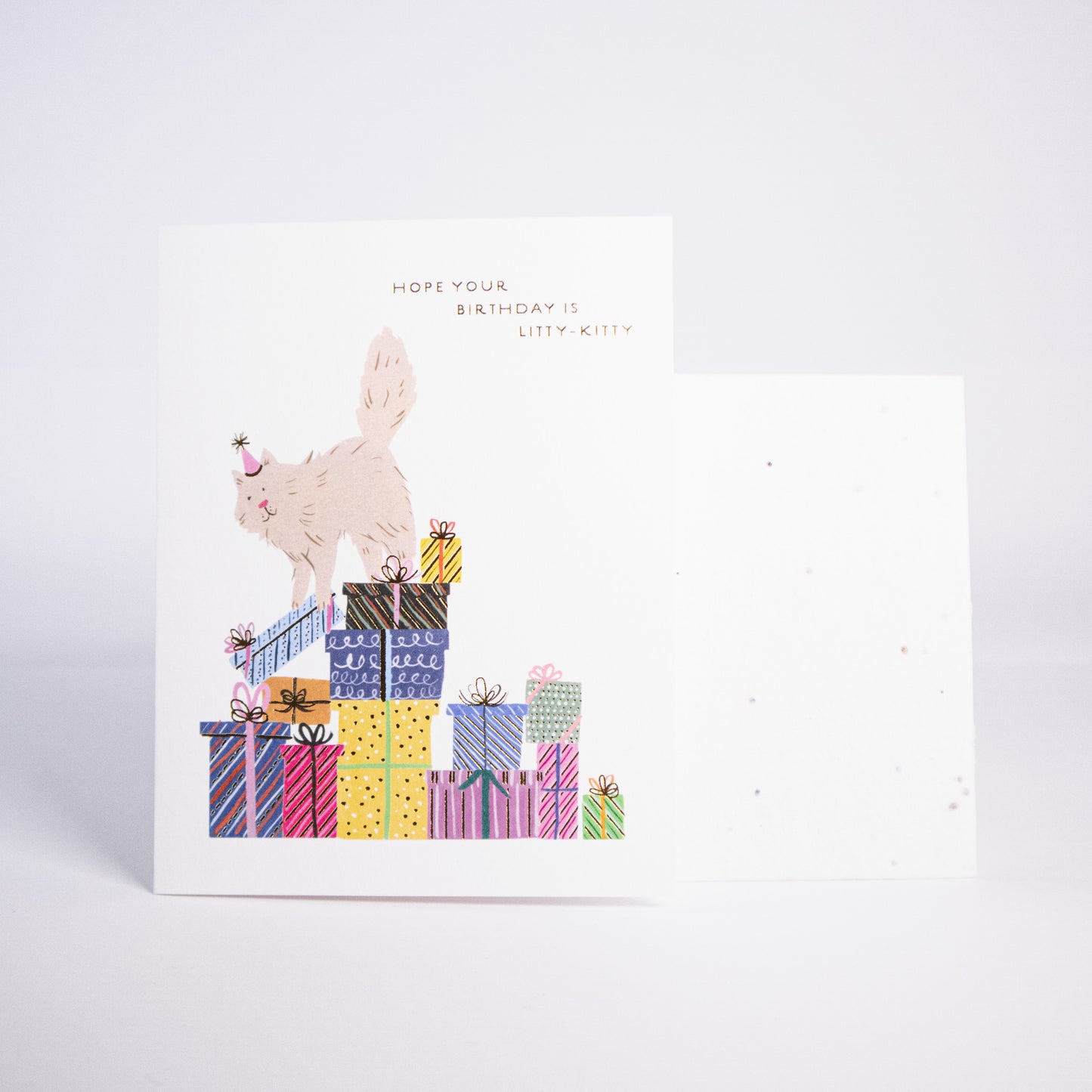 Litty Kitty Greeting Card