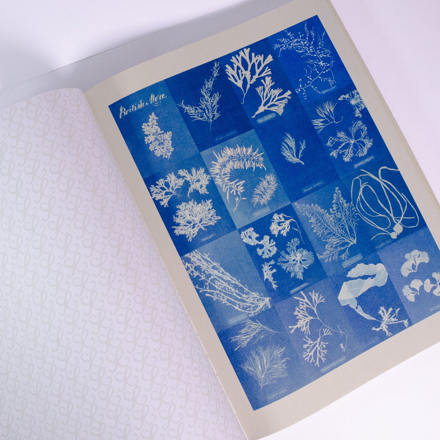 The Collage Compendium Book