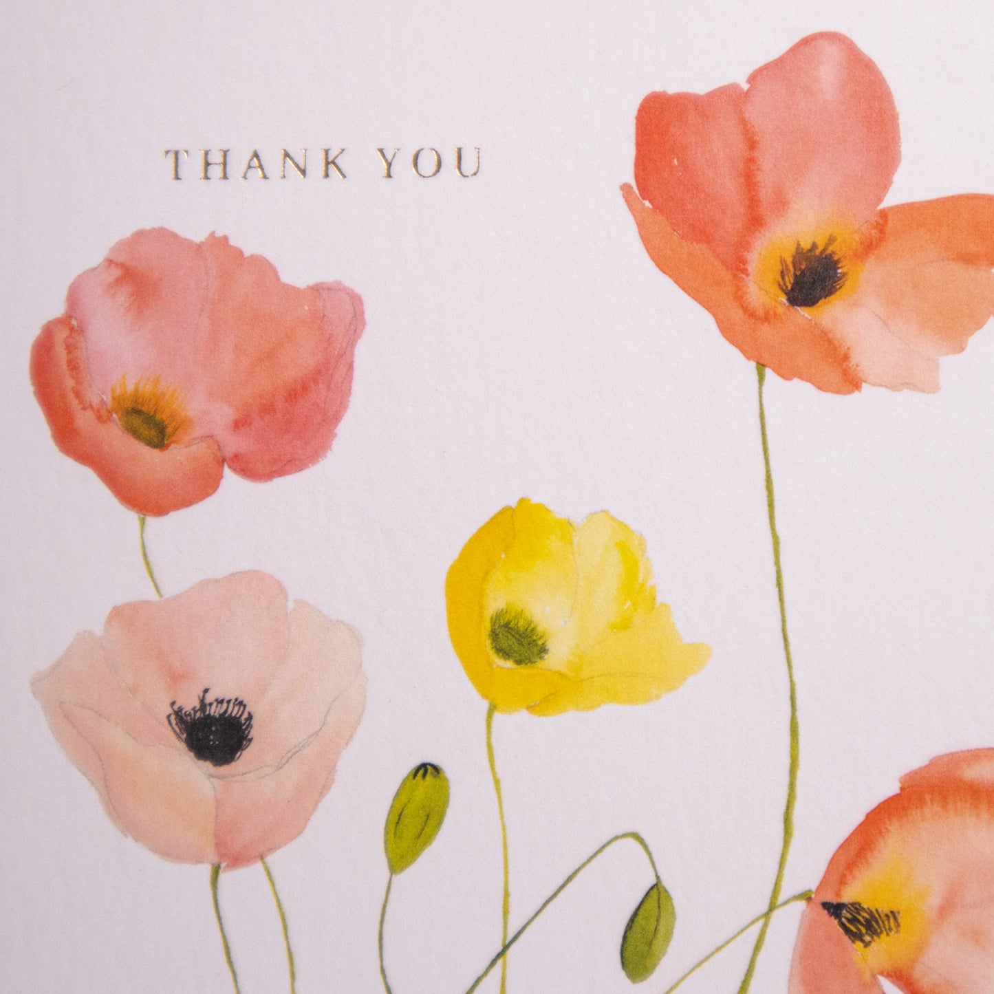 Thank You Poppies Greeting Card