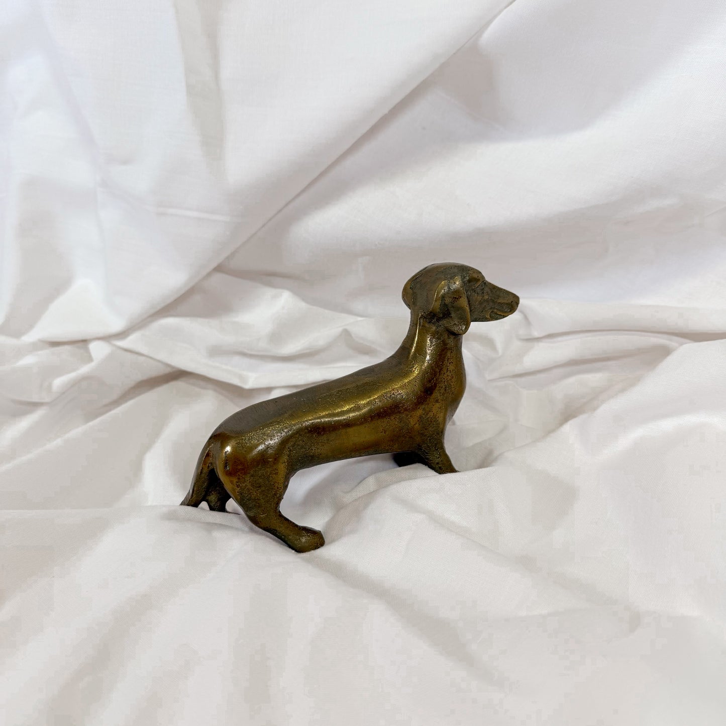 Standing Brass Dachshund