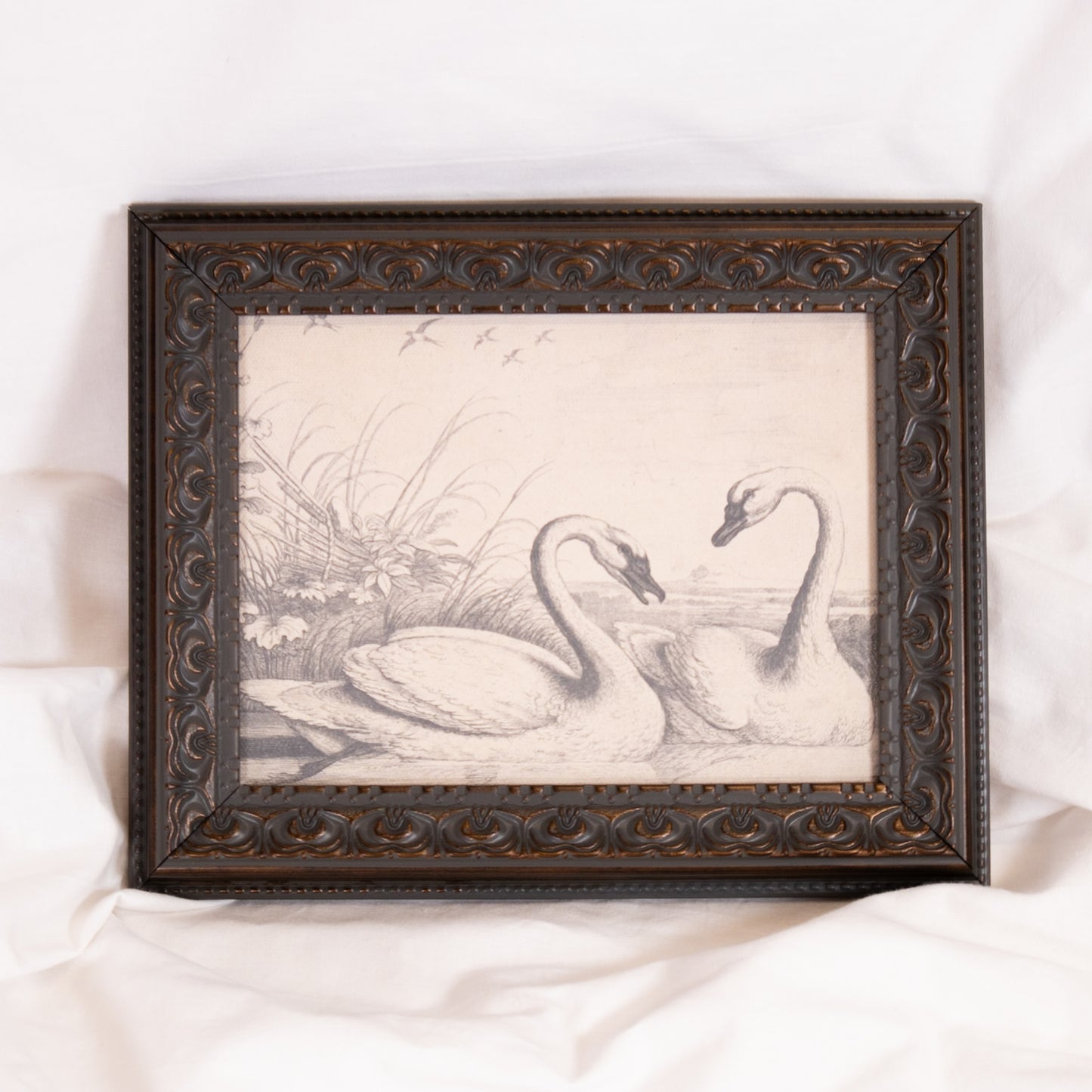 Swan Sketch Framed Wall Art