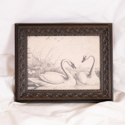 Swan Sketch Framed Wall Art