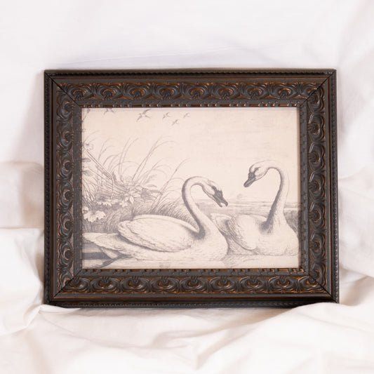 Swan Sketch Framed Wall Art