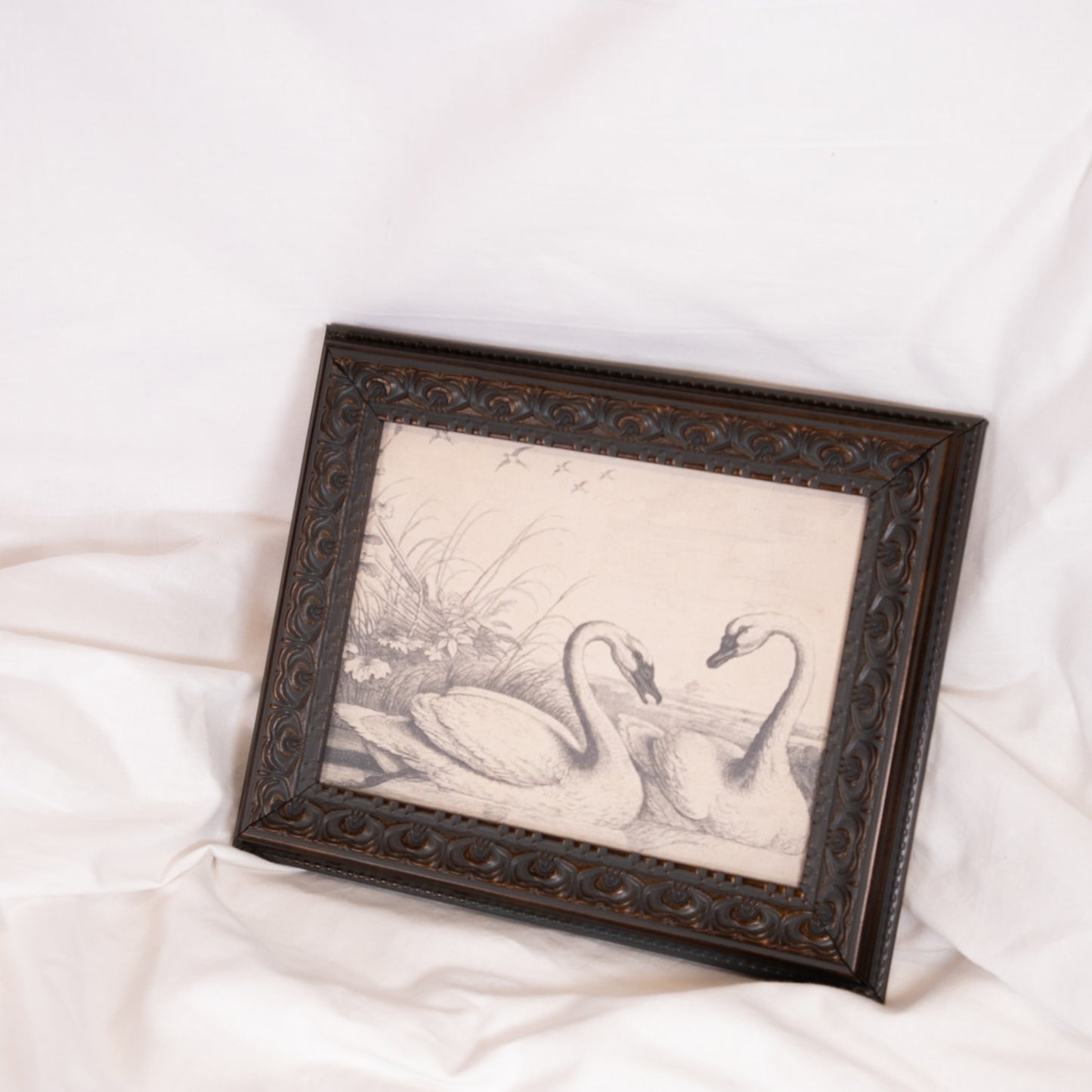 Swan Sketch Framed Wall Art