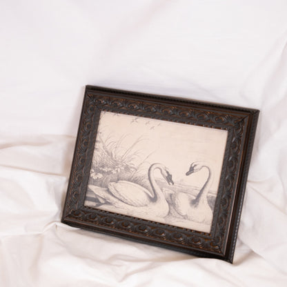 Swan Sketch Framed Wall Art