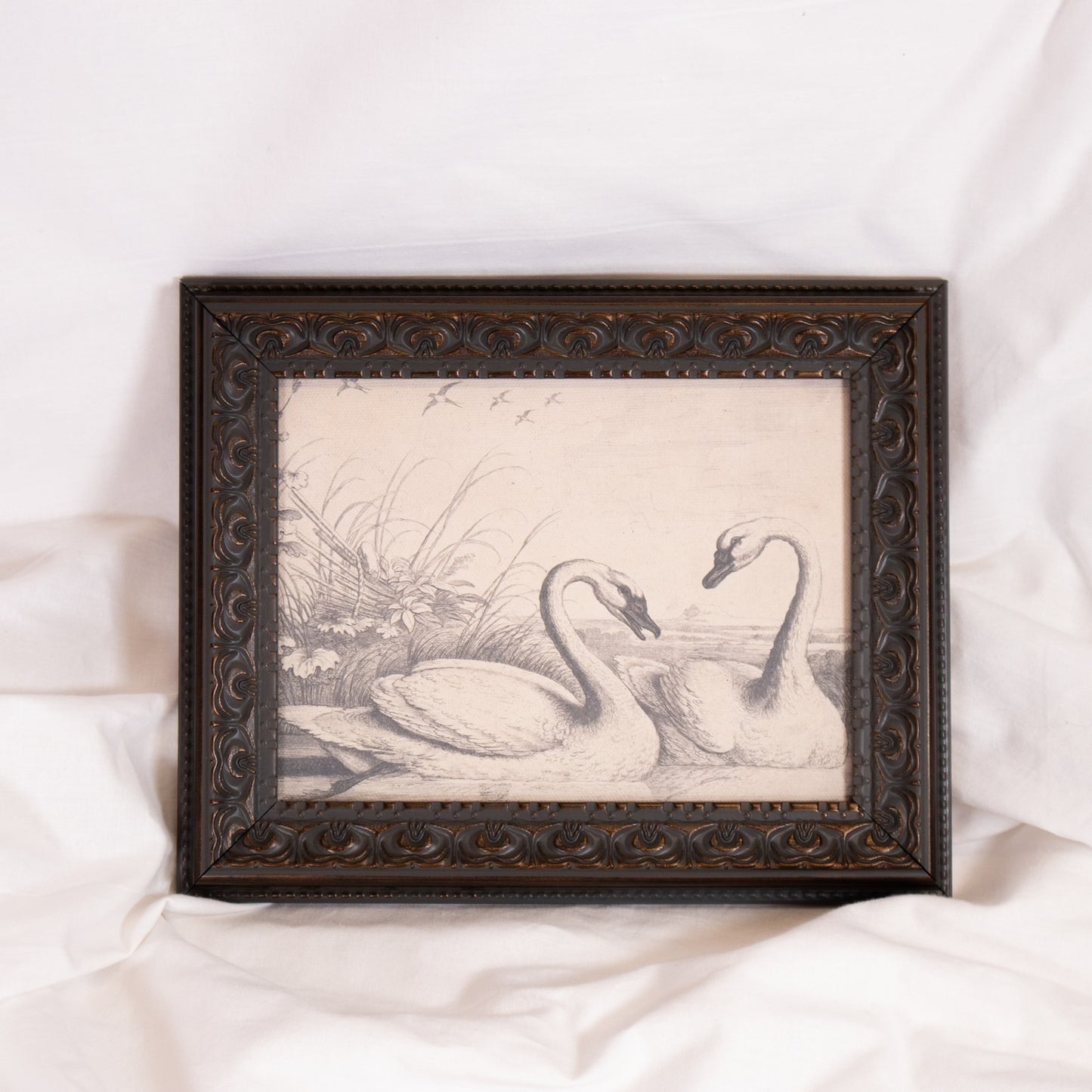 Swan Sketch Framed Wall Art