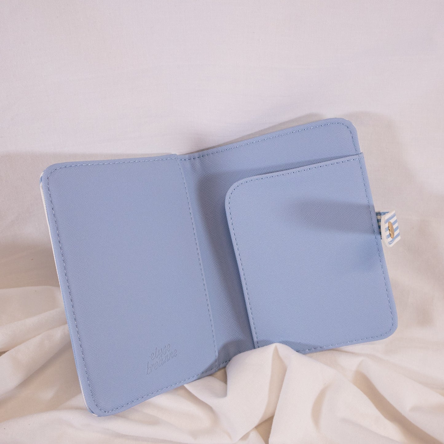 Blue Stripe Passport Cover