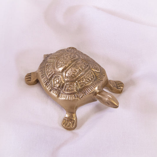 Brass Turtle Bottle Opener