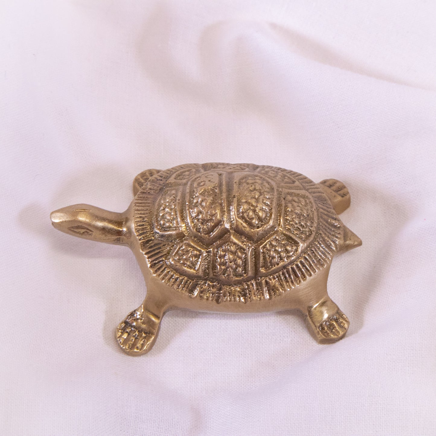 Brass Turtle Bottle Opener
