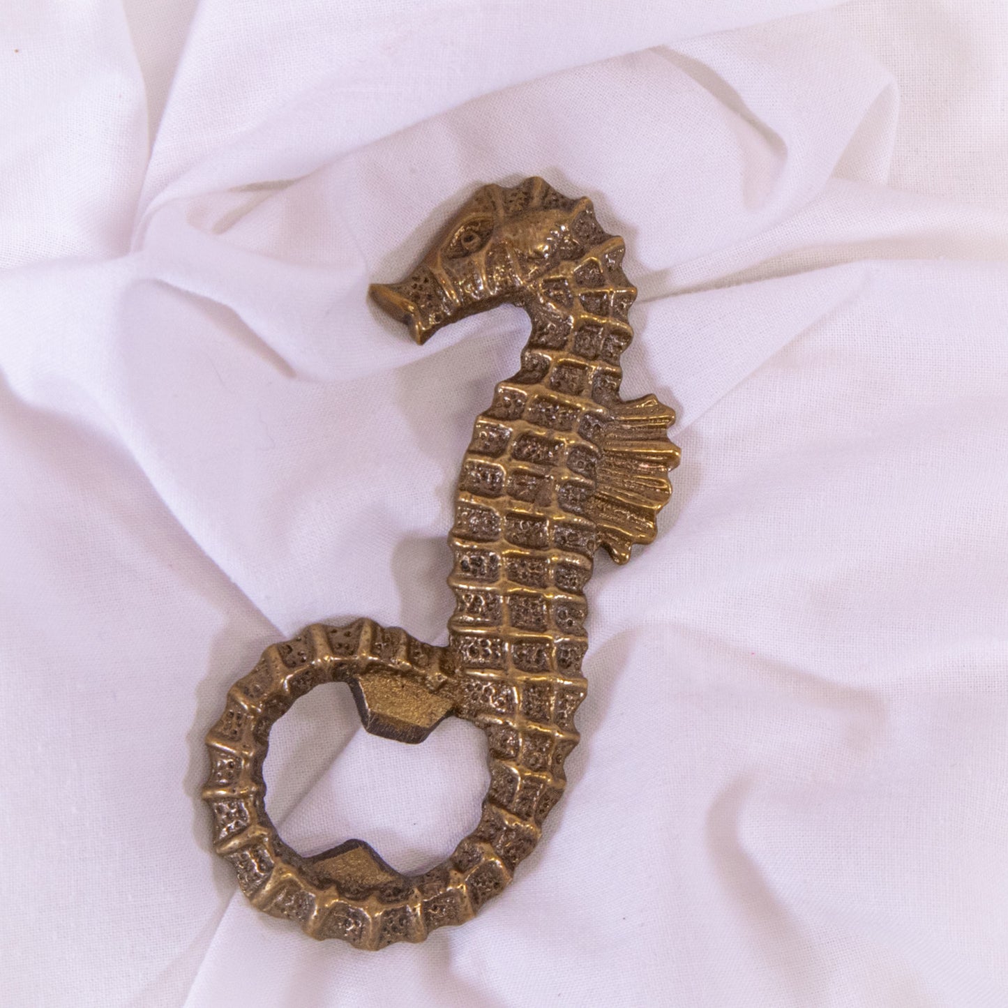 Sea Horse Bottle Opener