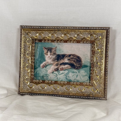 Sleeping Cat Framed Wall Art