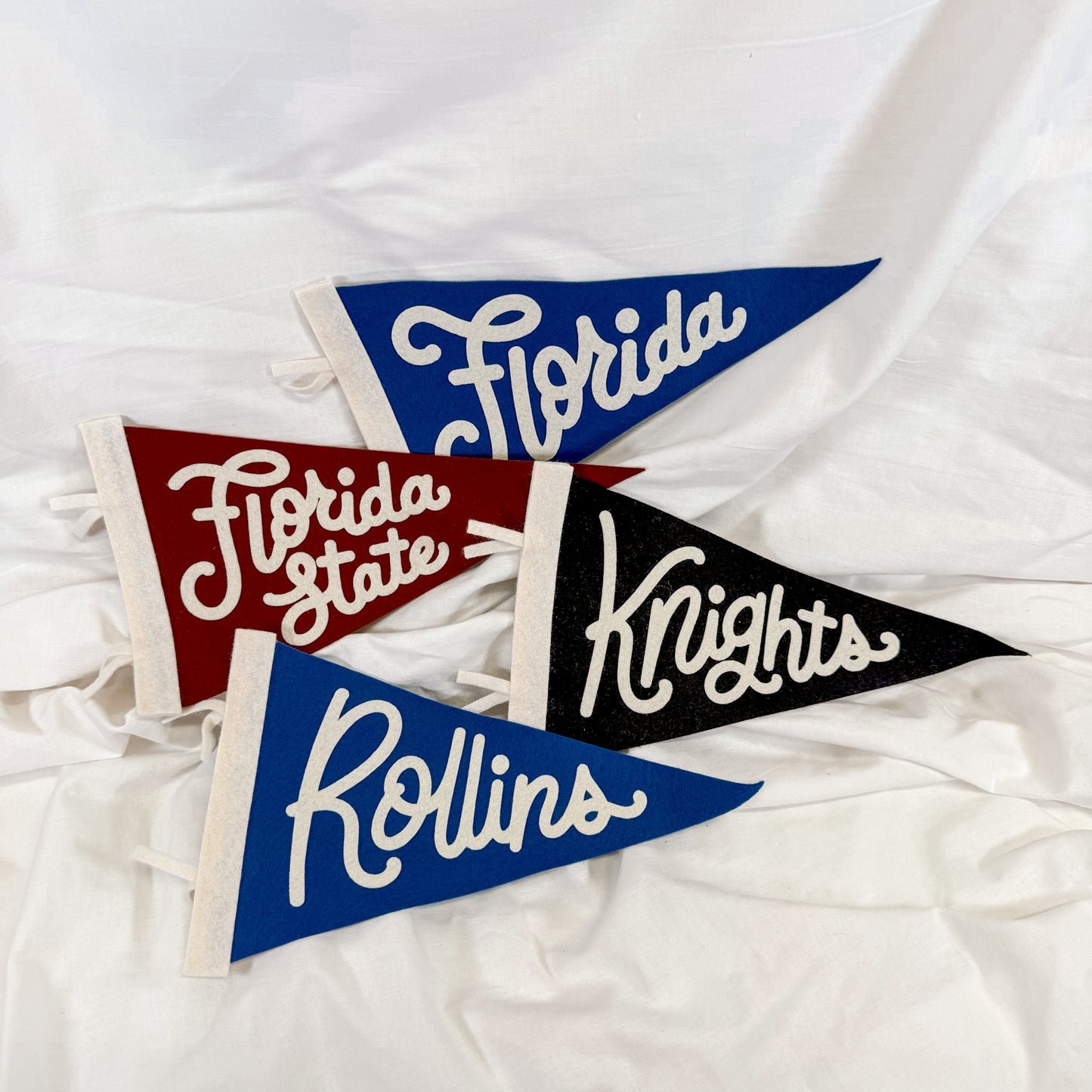 Collegiate Felt Wall Pennant