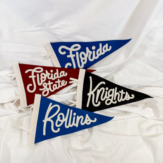 Collegiate Felt Wall Pennant