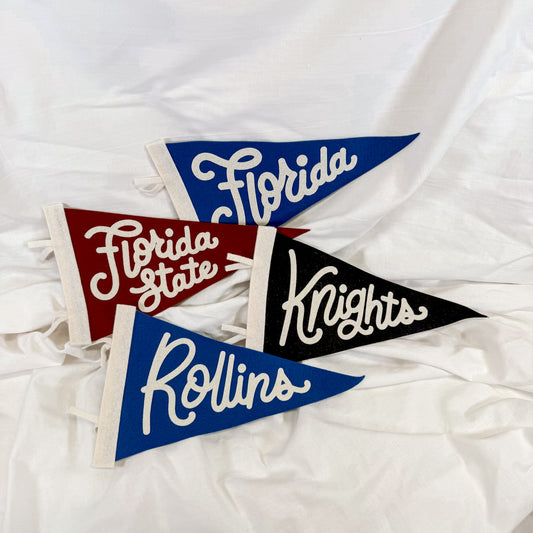 Collegiate Felt Wall Pennant