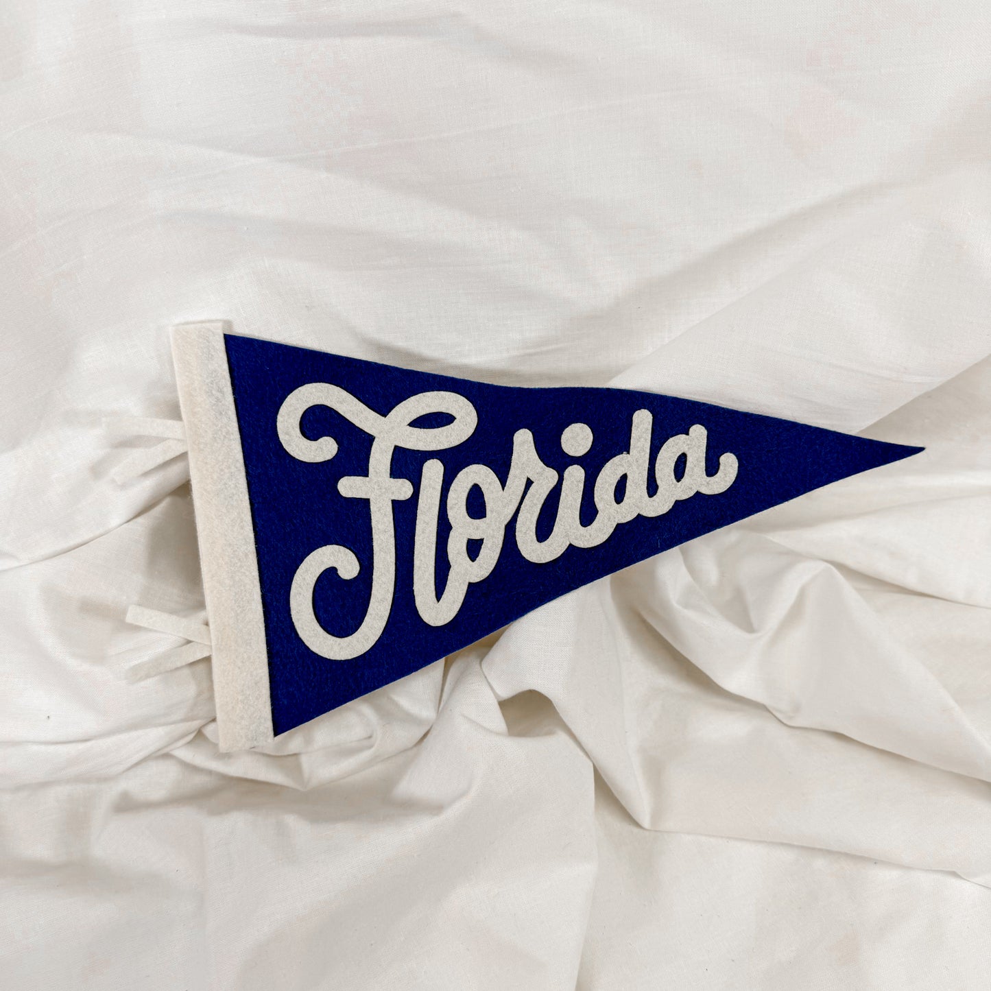 Collegiate Felt Wall Pennant