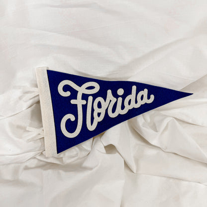 Collegiate Felt Wall Pennant