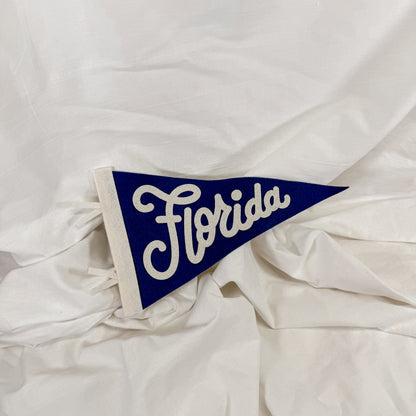 Collegiate Felt Wall Pennant