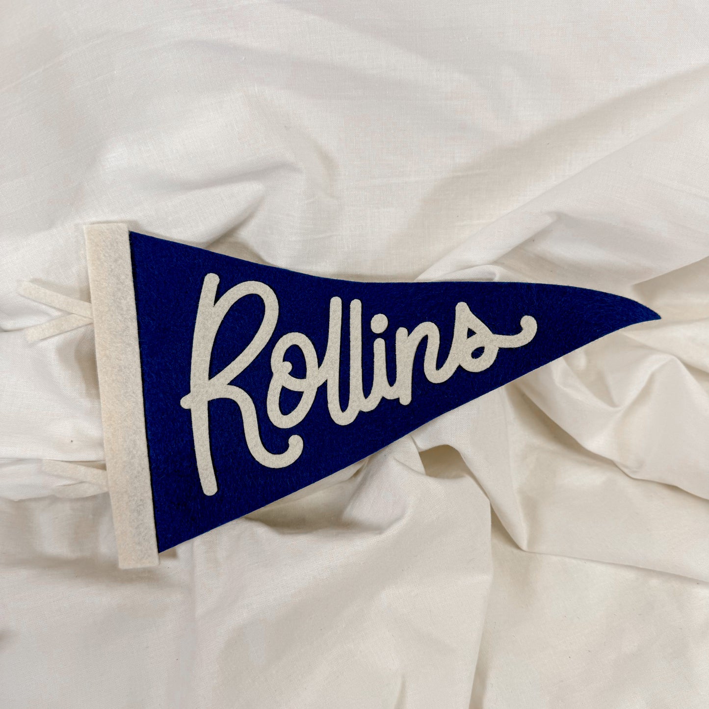 Collegiate Felt Wall Pennant