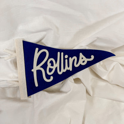 Collegiate Felt Wall Pennant