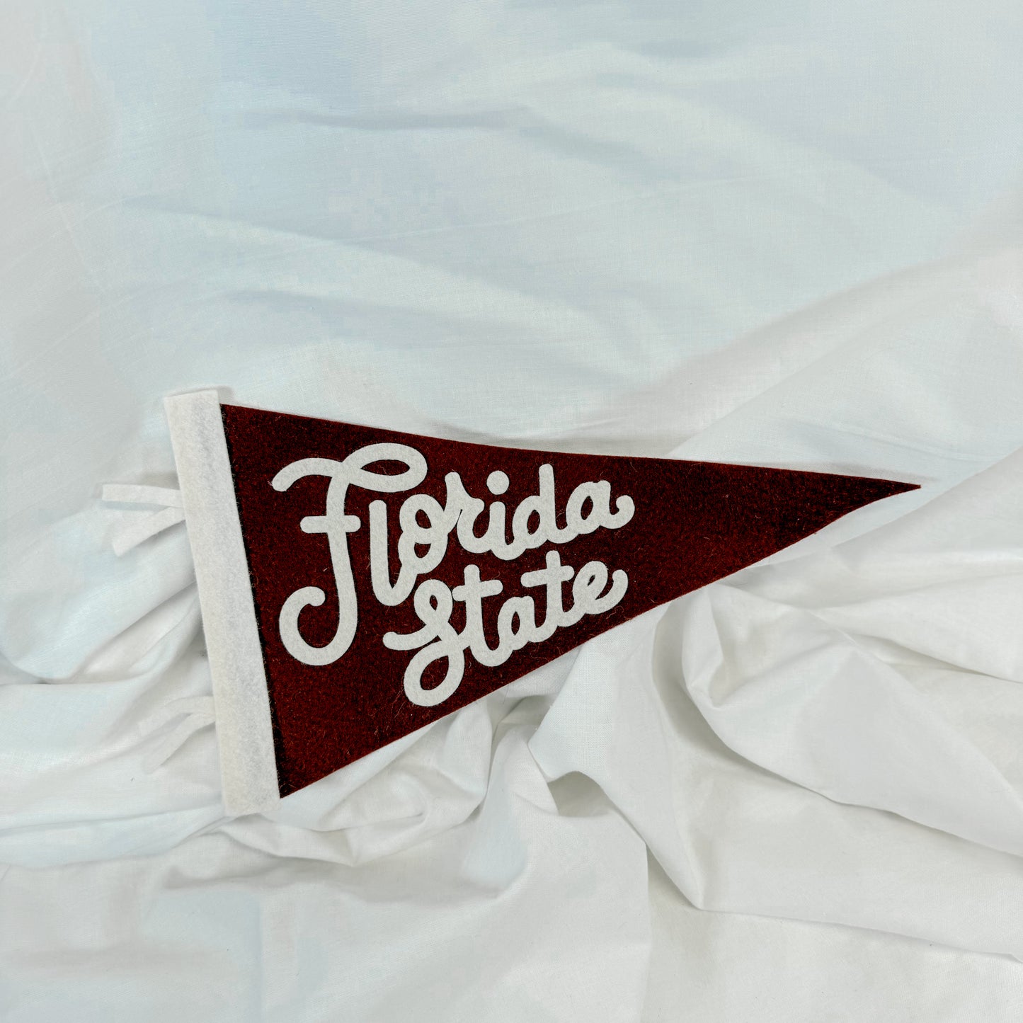 Collegiate Felt Wall Pennant