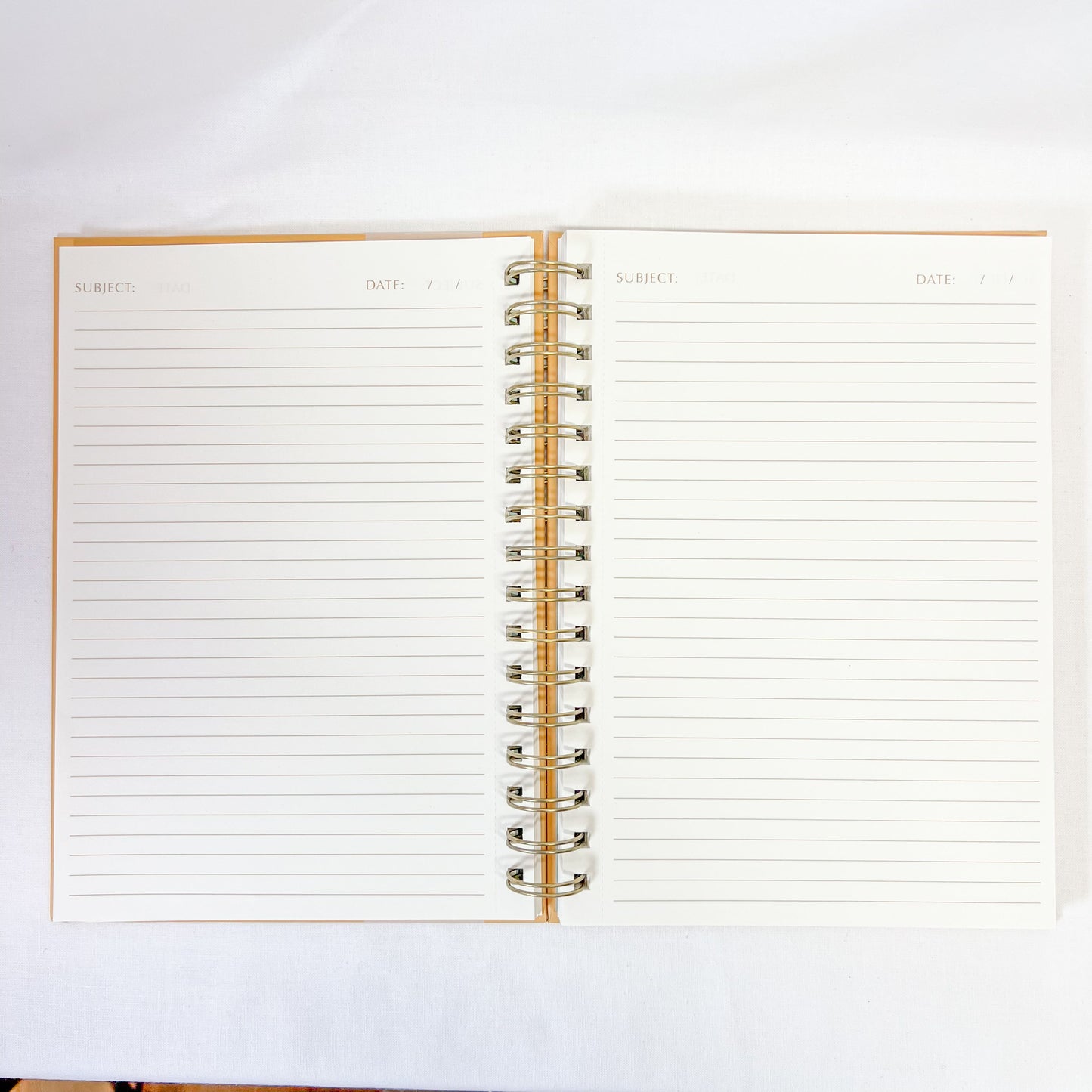 Library Cat Spiral Notebook