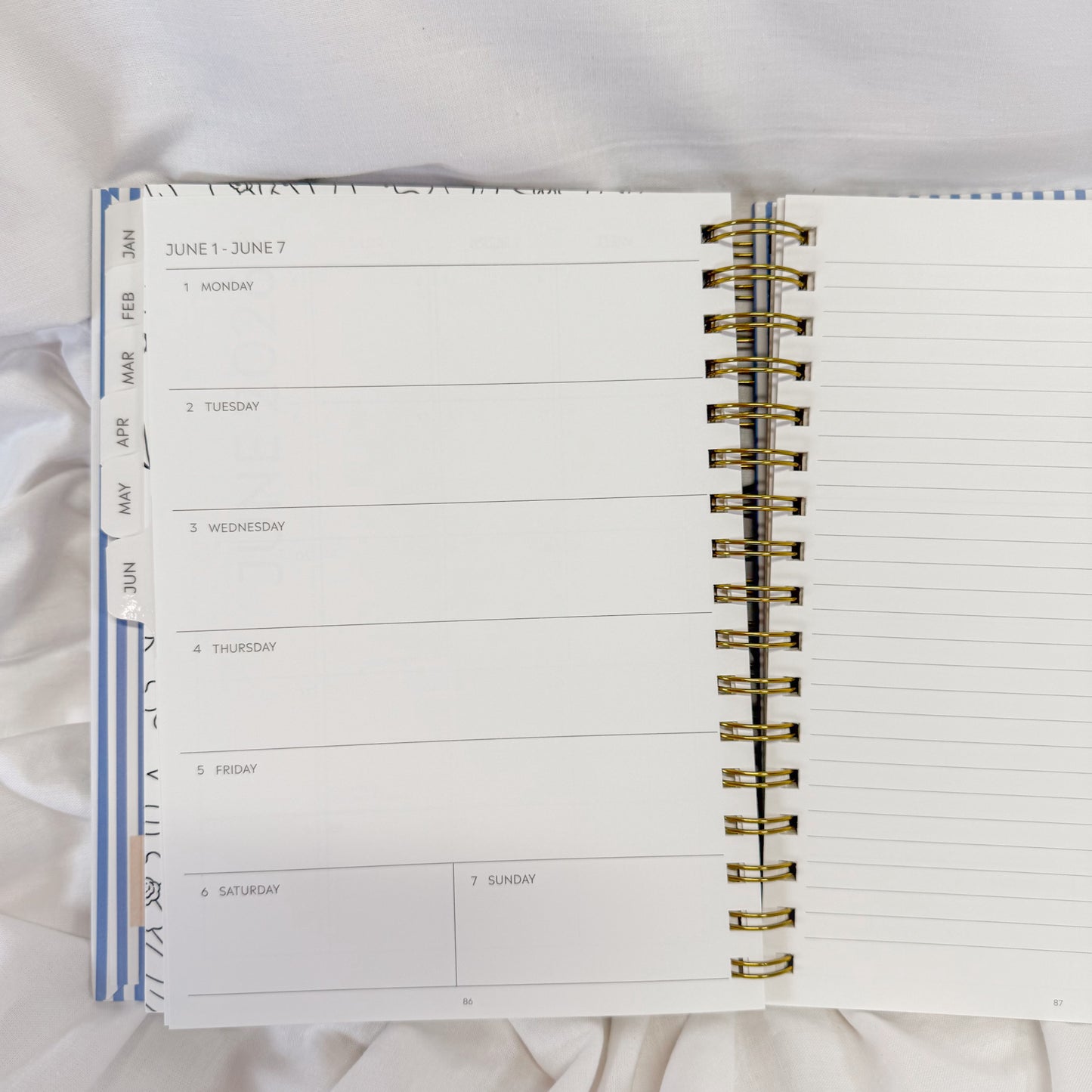 Blue Stripe 2026 Planner
