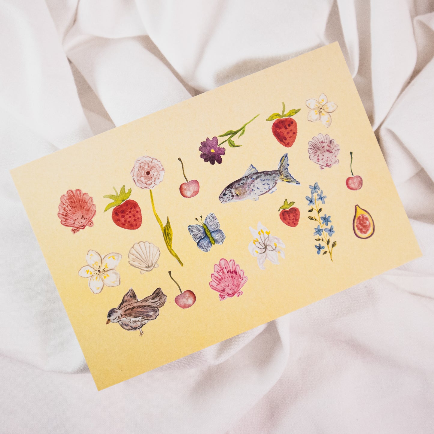 Spring Has Sprung Postcard