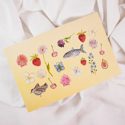 Spring Has Sprung Postcard