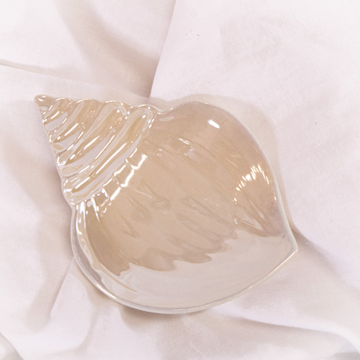 Iridescent Seashell Tray