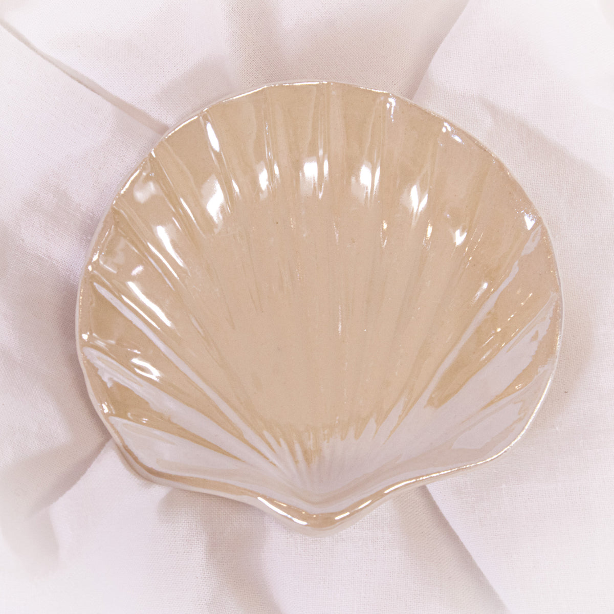 Iridescent Seashell Tray