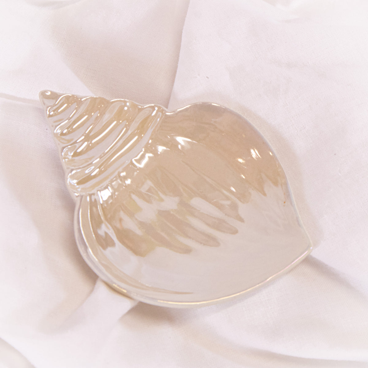 Iridescent Seashell Tray