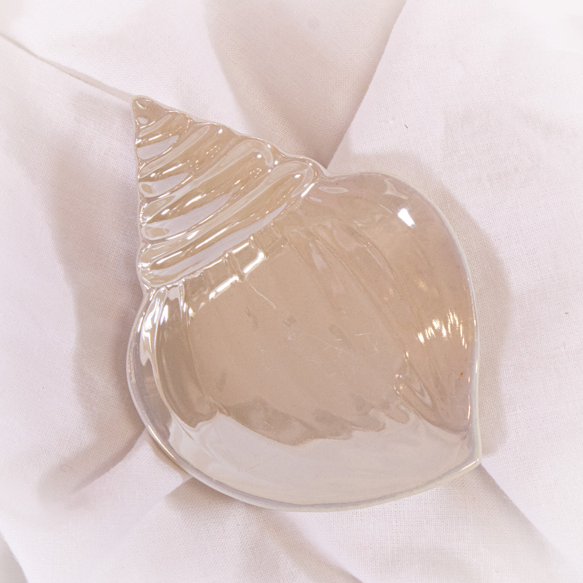 Iridescent Seashell Tray