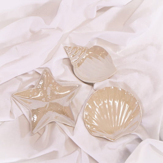 Iridescent Seashell Tray