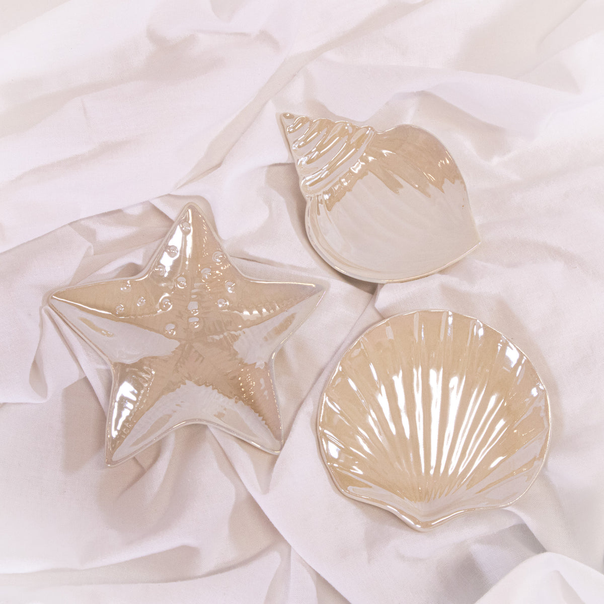 Iridescent Seashell Tray