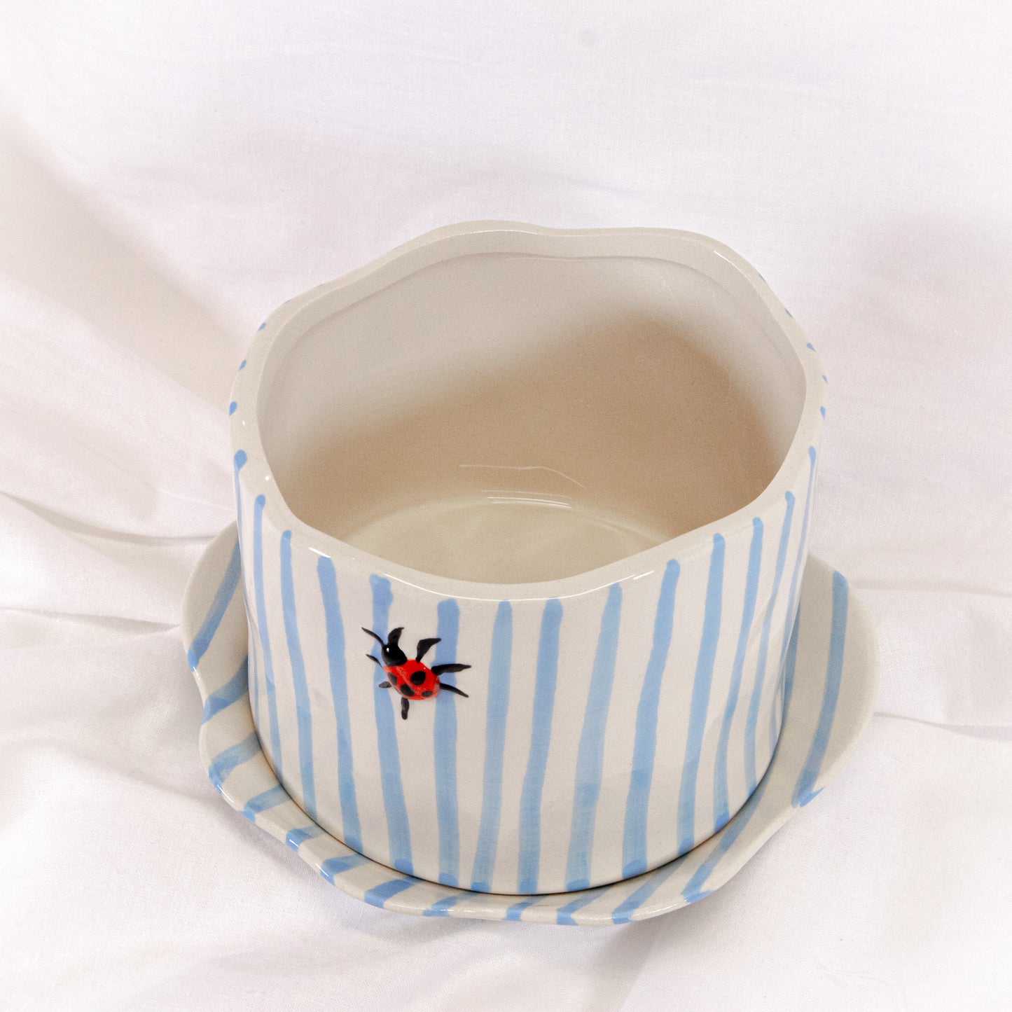 Ladybug Striped Pot