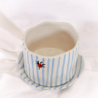 Ladybug Striped Pot