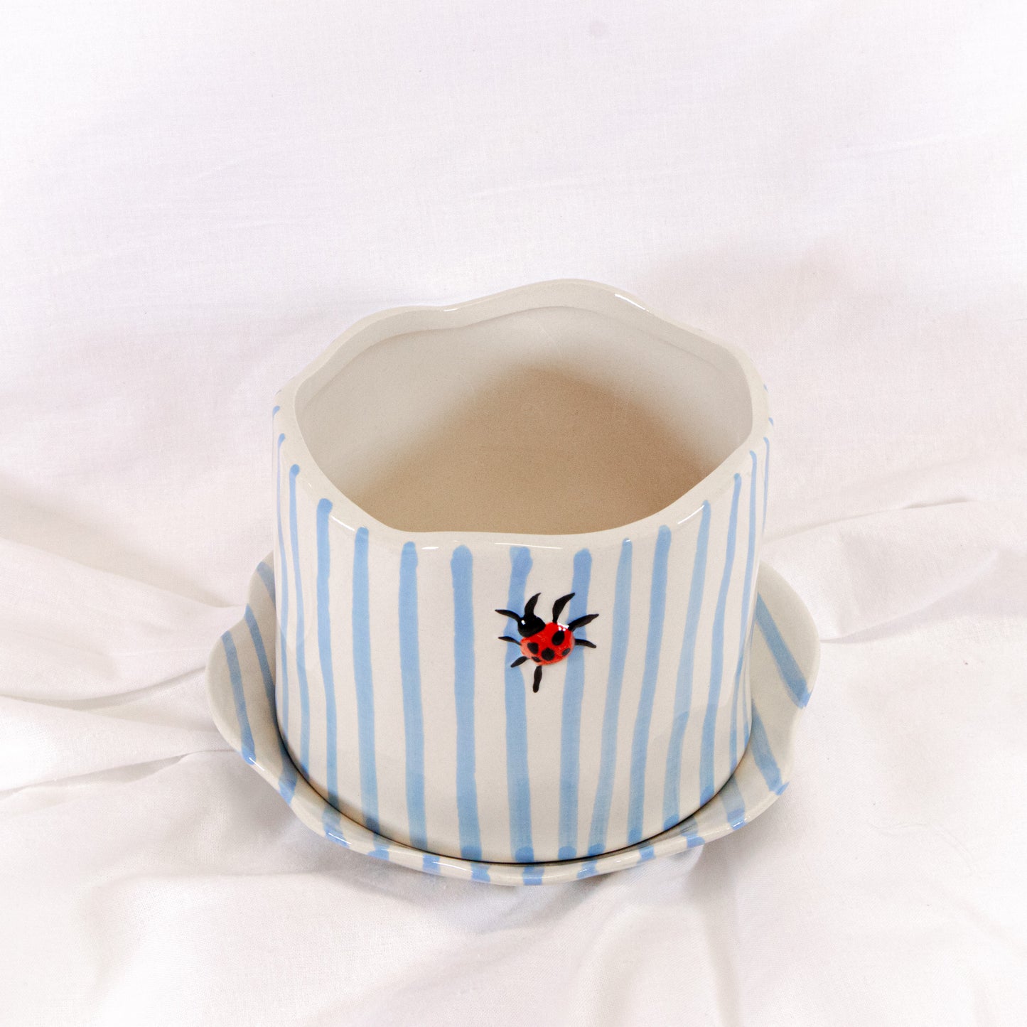 Ladybug Striped Pot