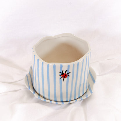Ladybug Striped Pot